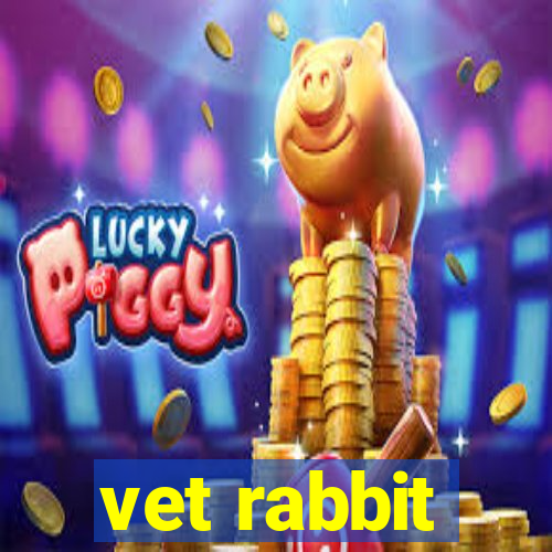 vet rabbit